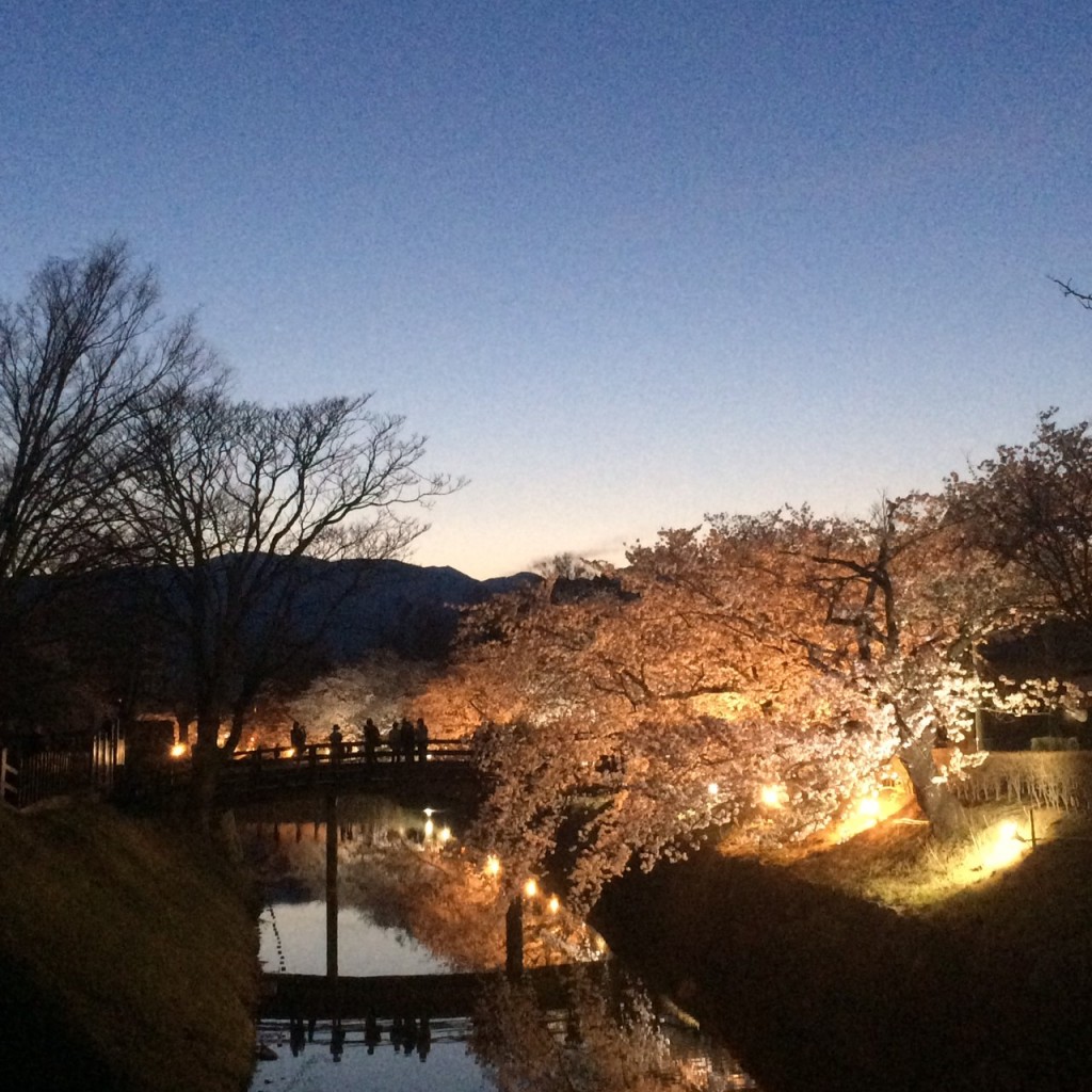 201904花見ツアー_190506_0211