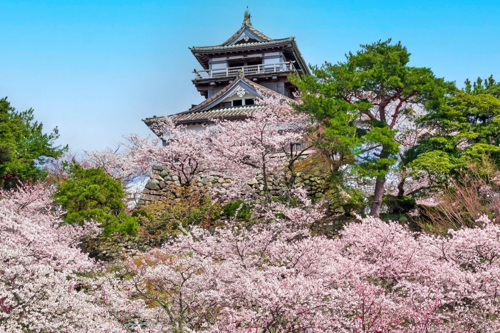 maruoka-castle