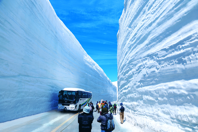 阿爾卑斯山脈路線和富山