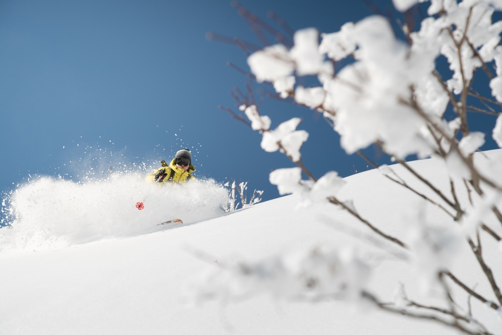 hakuba-ski