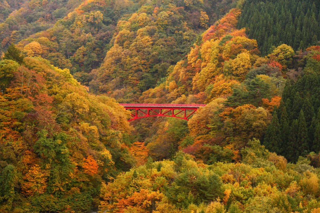 matsukawa-valley-autumn-leaves-koyo