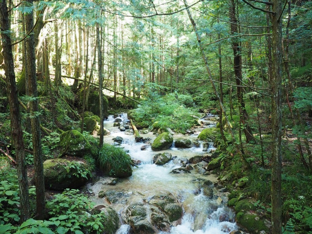 nakasendo-trail