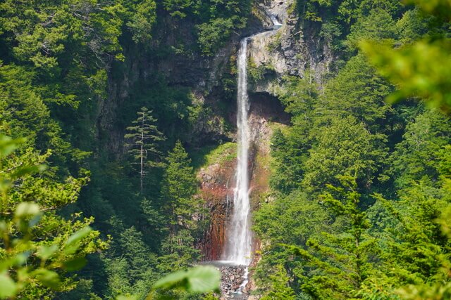 kiso-ontake-aburagi-forest