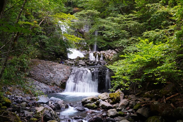 kiso-ontake-aburagi-forest