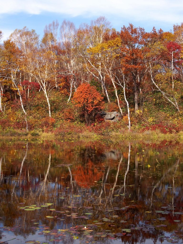 shiga-kogen-autumn