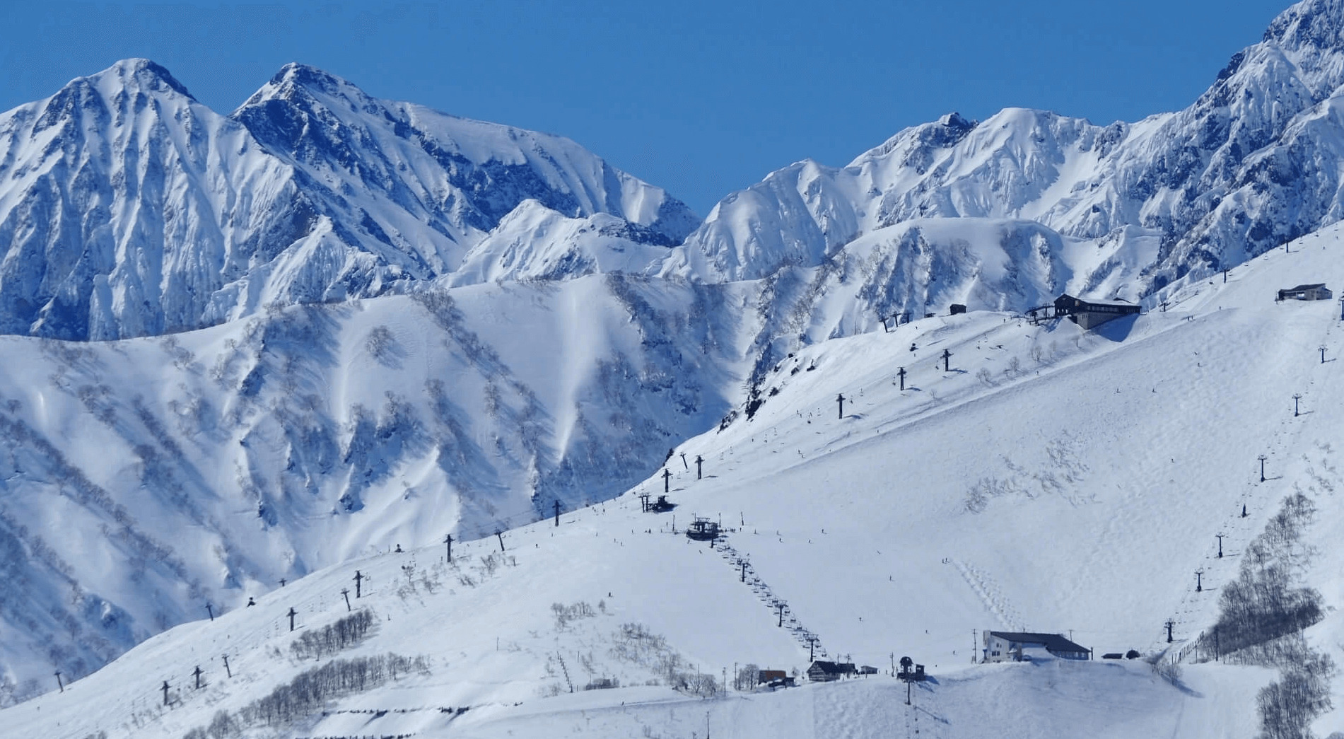 hakuba-banner-edit