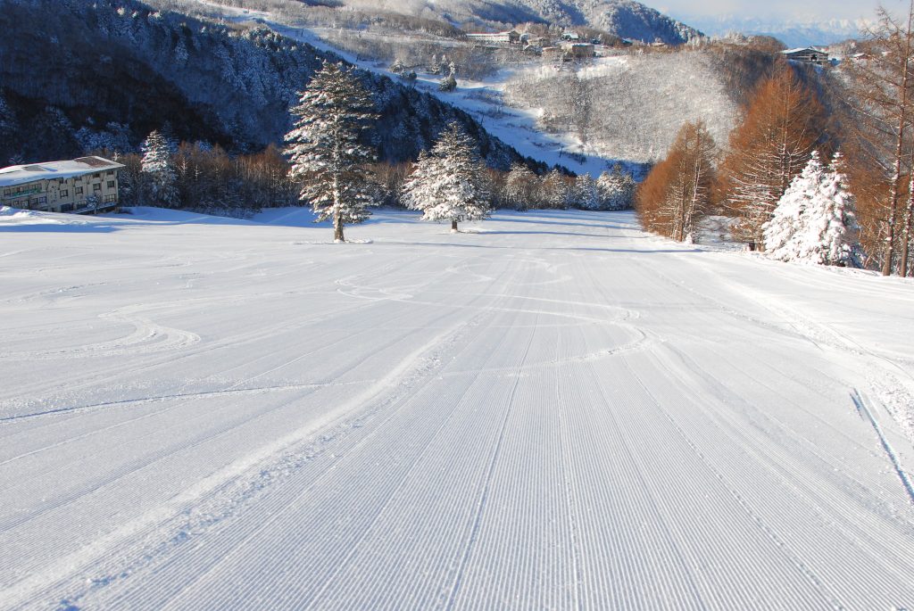 central-area-shiga-kogen