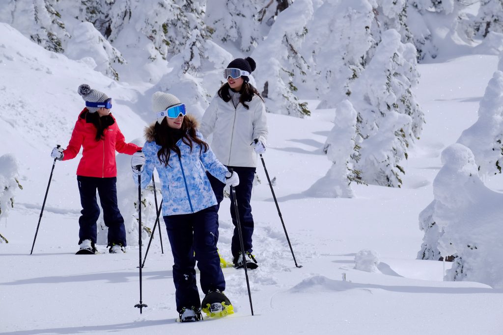 winter-snowshoe-walking