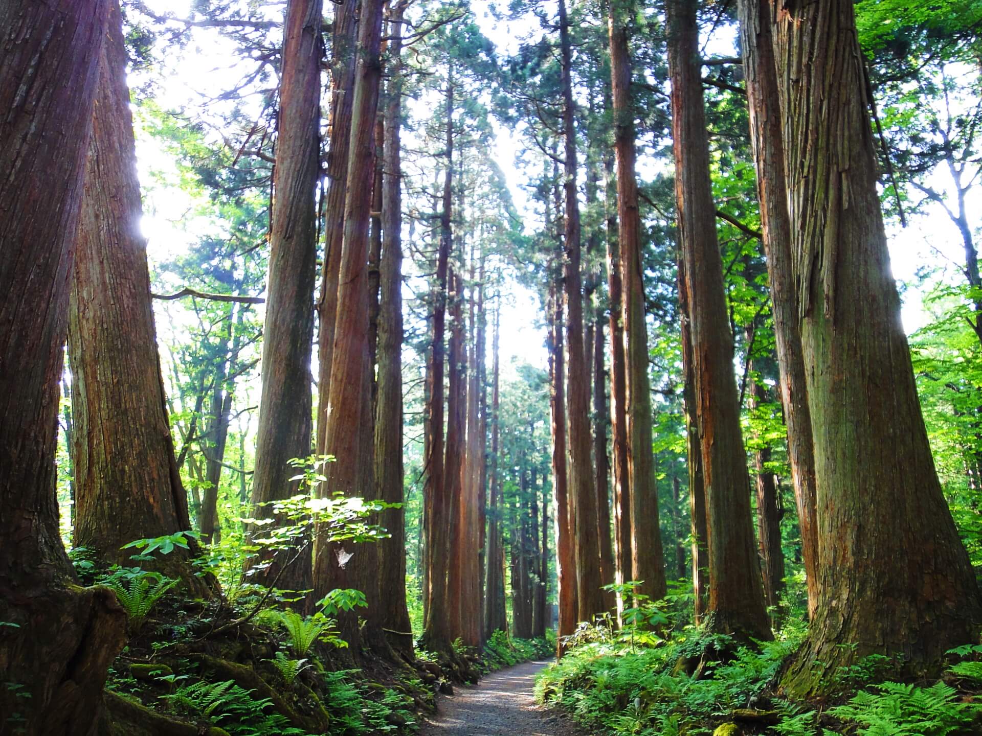 togakushi-okusha