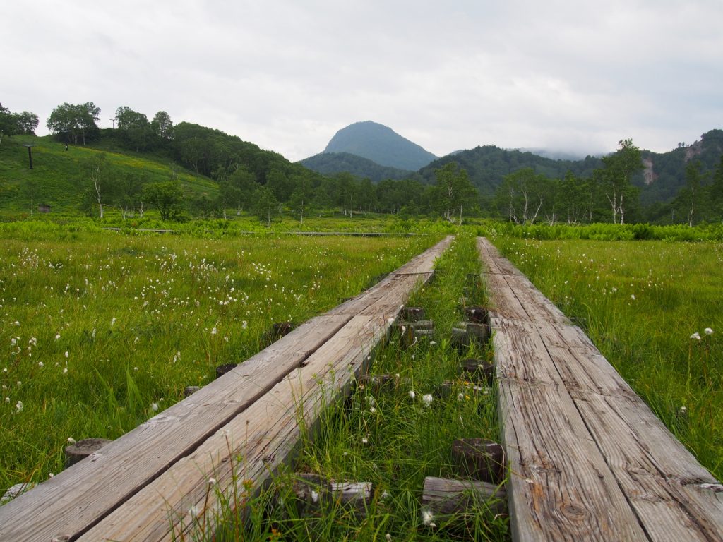 shiga-kogen-summer-hiking