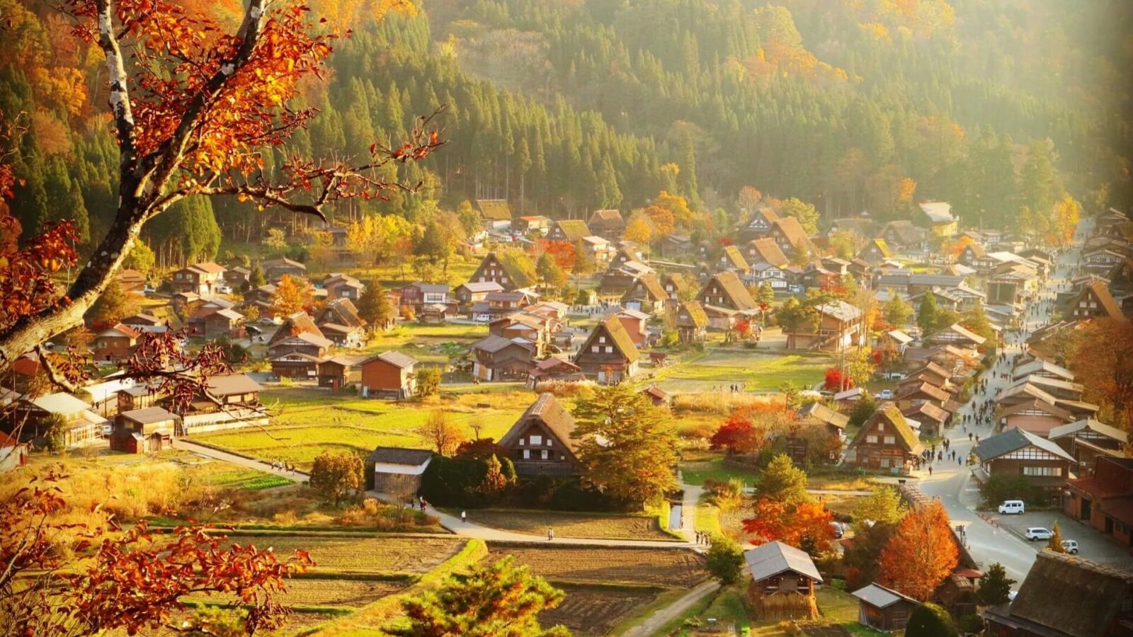 shirakawago-banner-edit