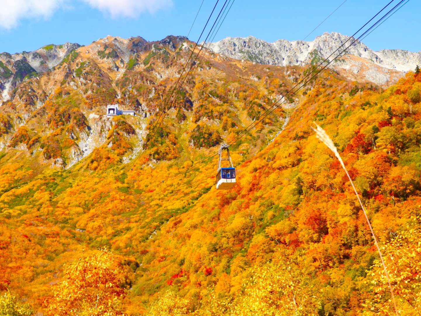 tateyama-kurobe-ropeway