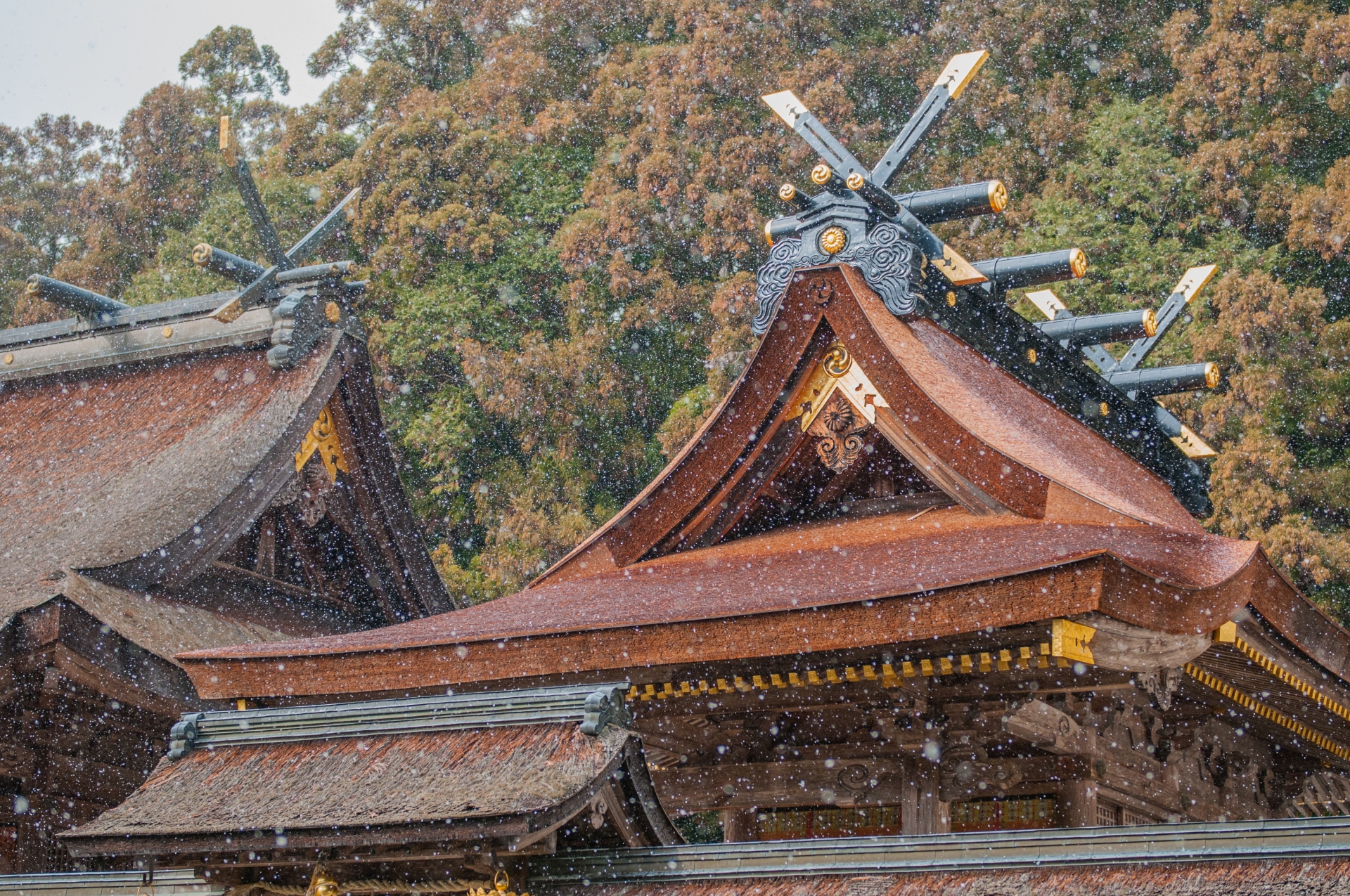 kumano-kodo-hongu-taisha