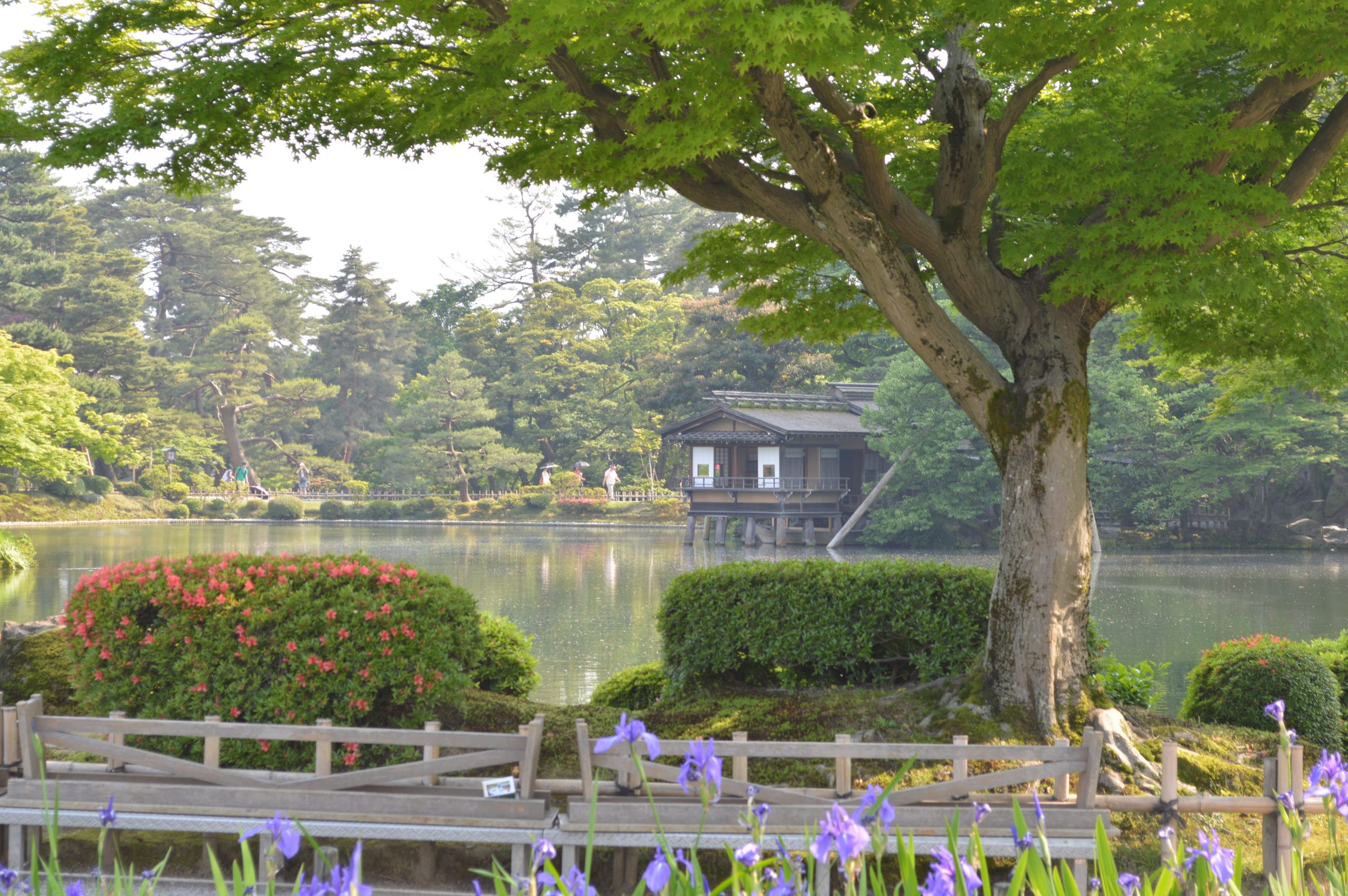 kanazawa-kenrokuen-garden