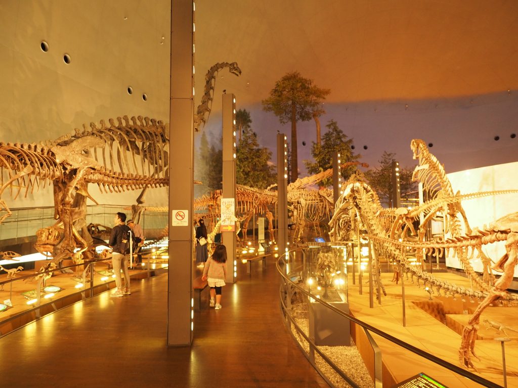 Fukui Prefectural Dinosaur Museum