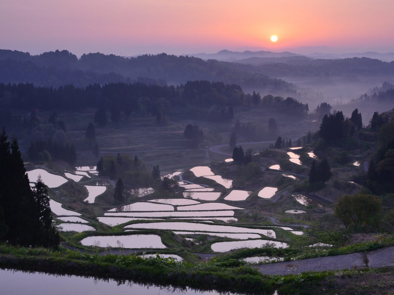 湯澤和新潟