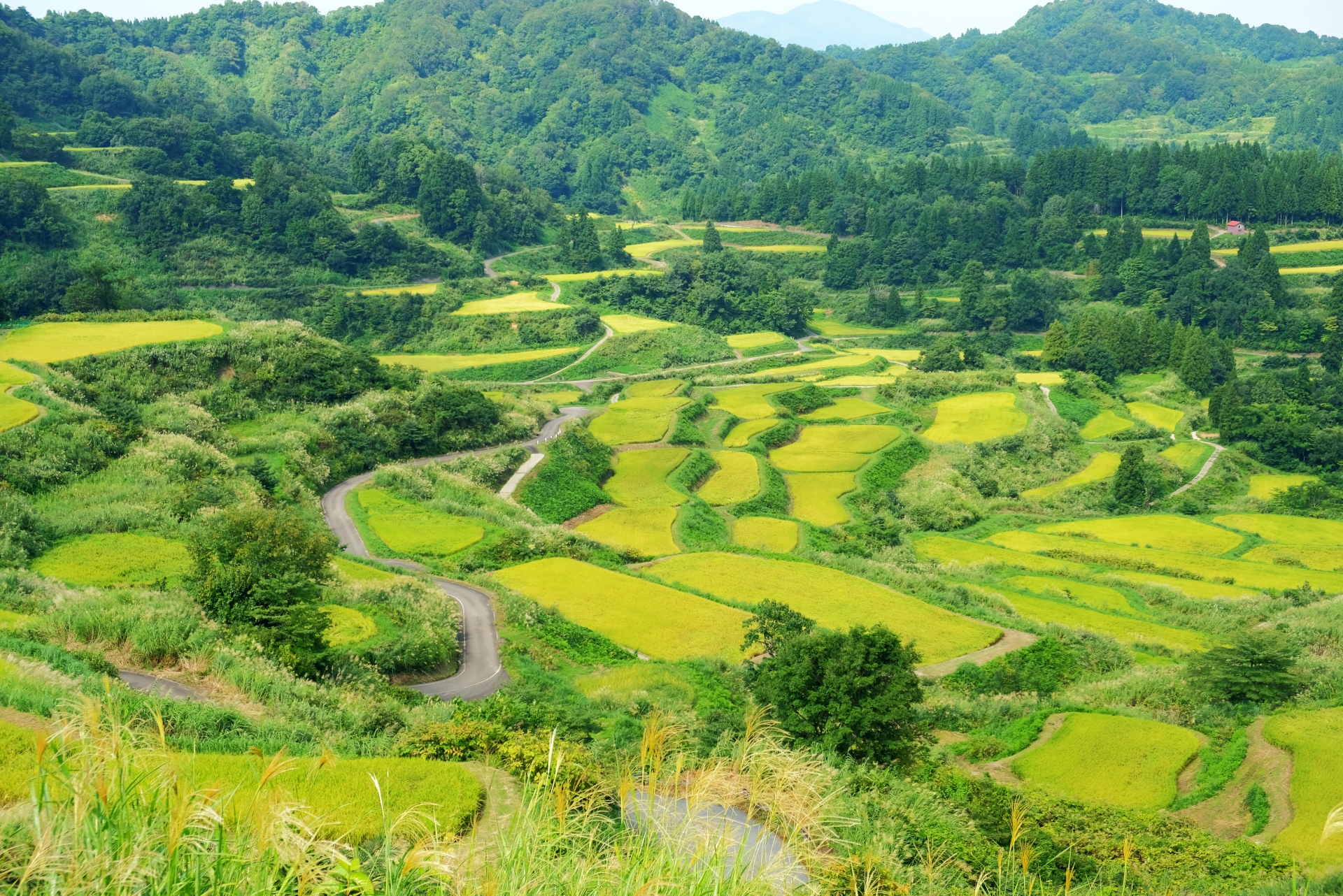 hoshitoge-rice-terraces-niigata