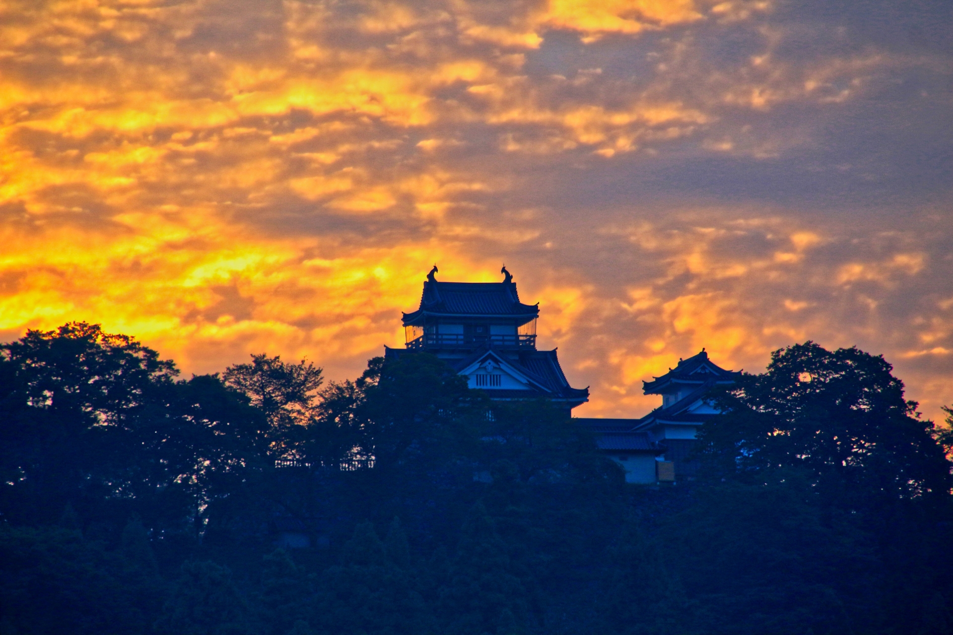 echizen-ono-castle-fukui