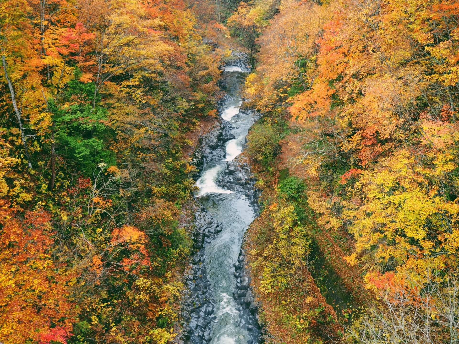 akiyamago-nagano-niigata