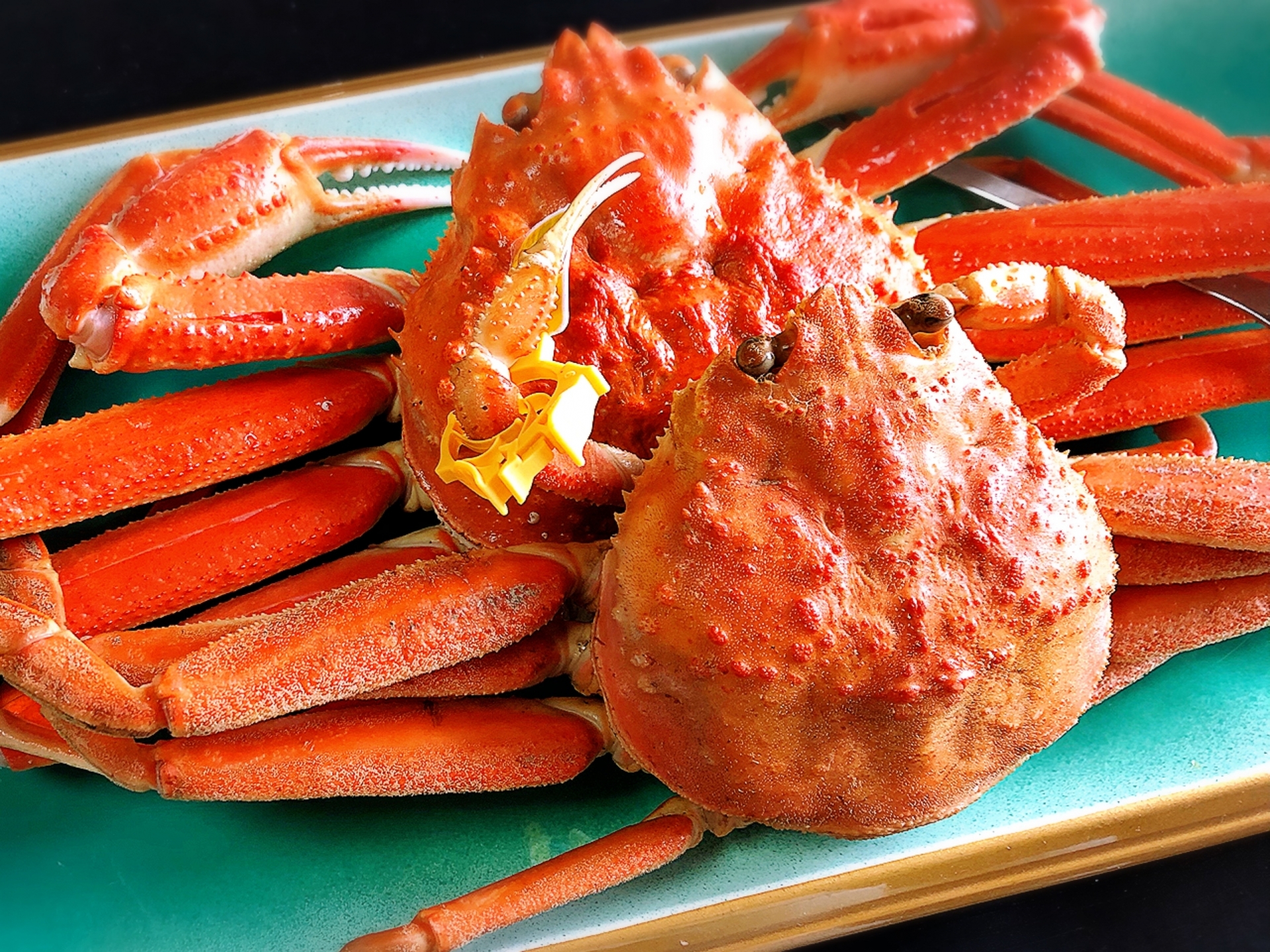 fukui-echizen-crab