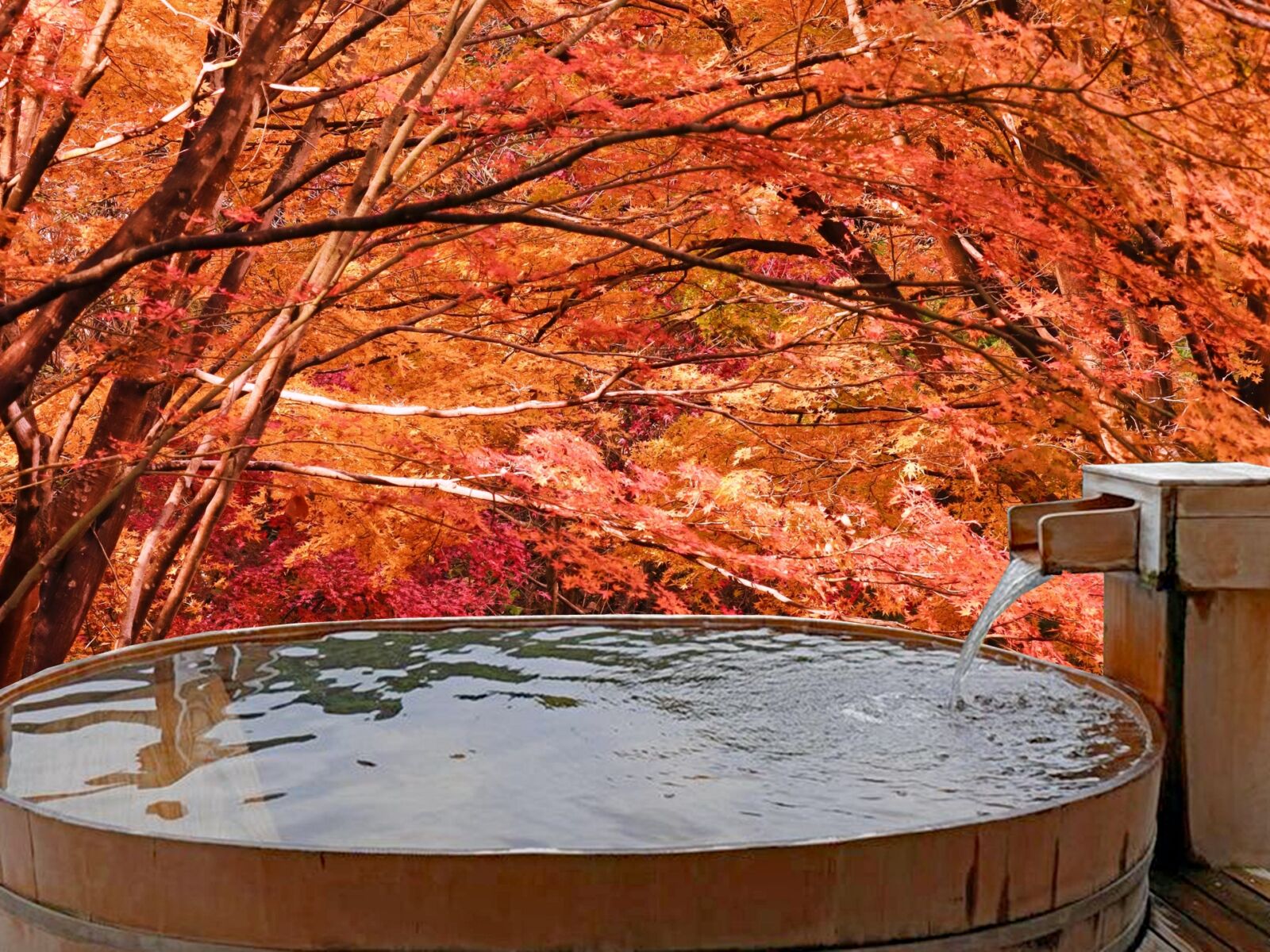 autumn-onsen