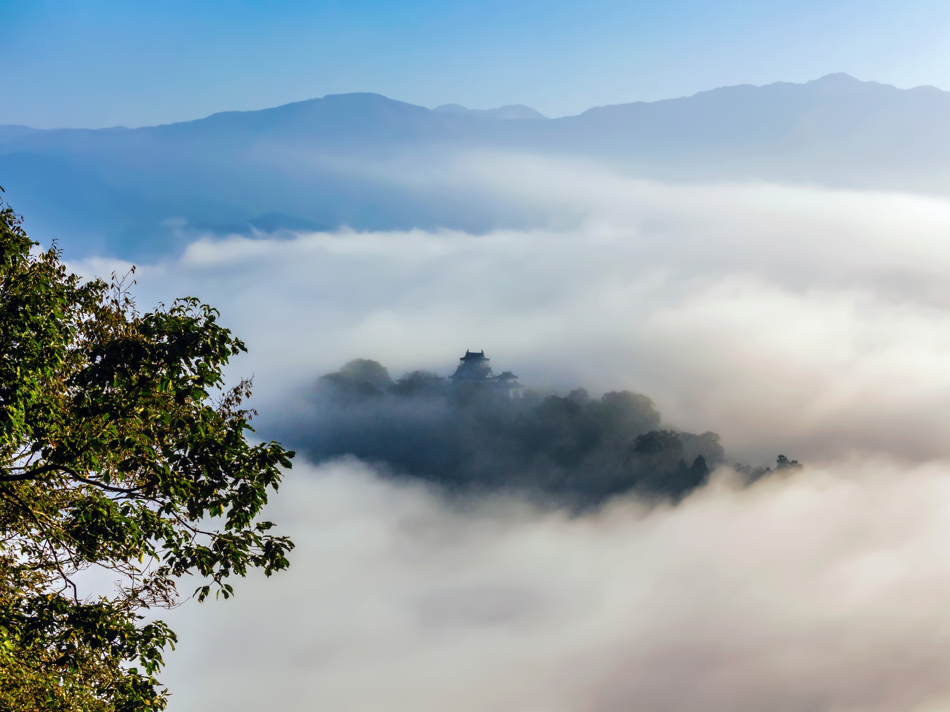 echizen-ono-castle-fukui