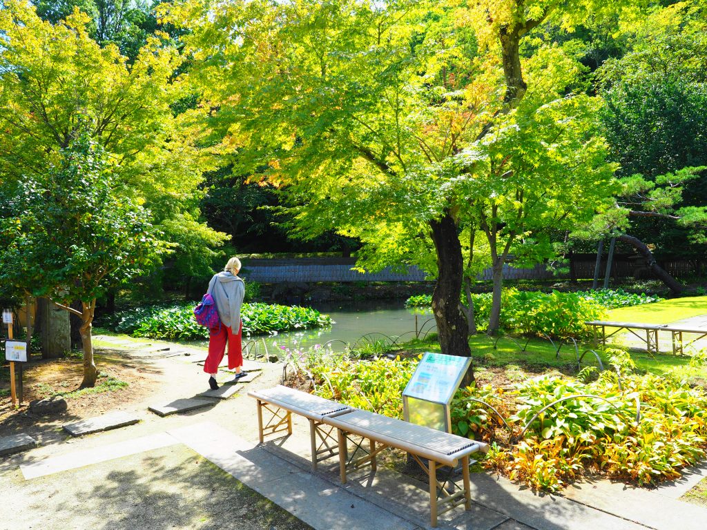 Matsushiro-Former-Yamadera-Jyozan-Residence