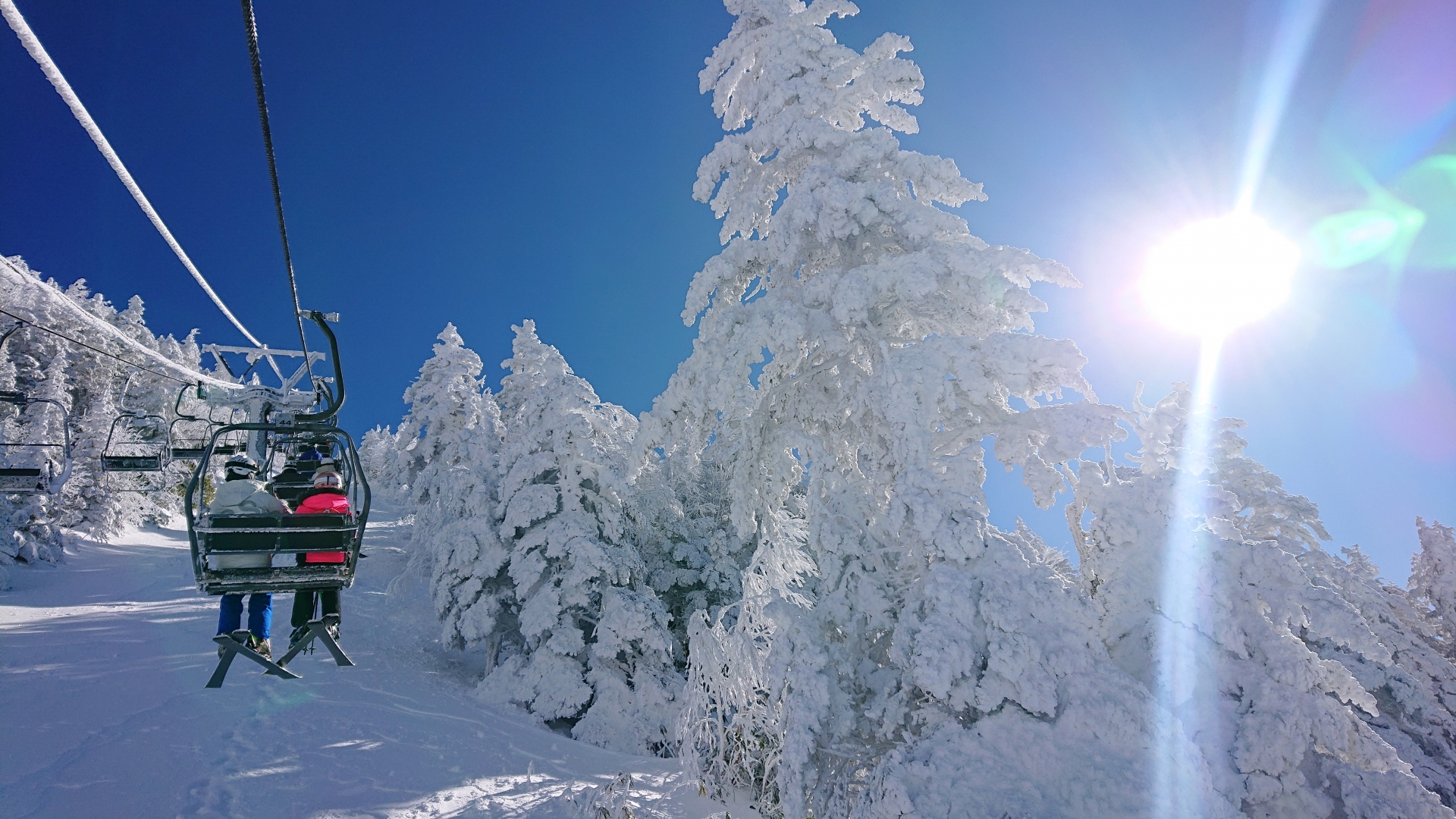 shiga-kogen