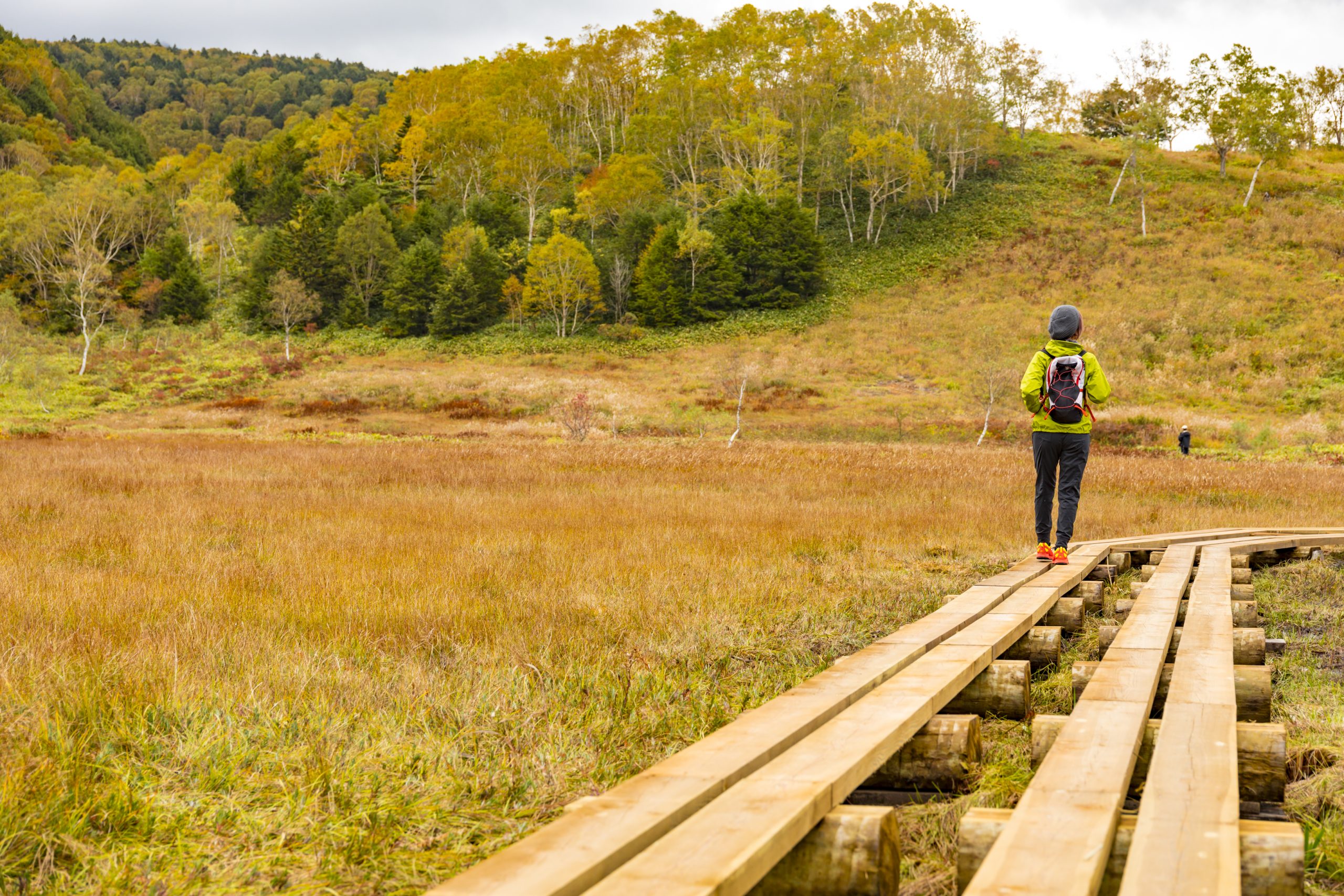 shiga-kogen-autumn-leaves-trail