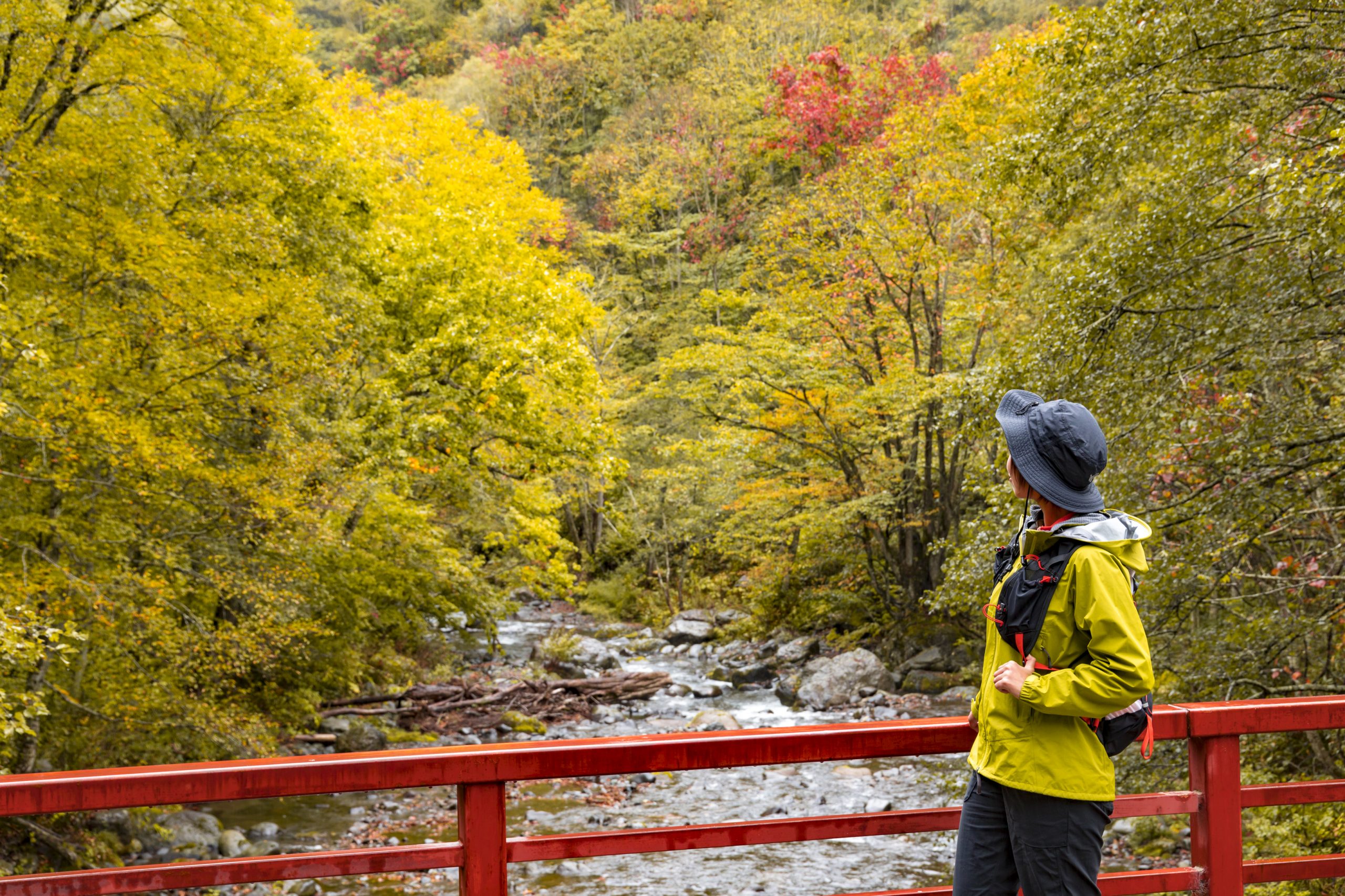 shiga-kogen-autumn-leaves-trail