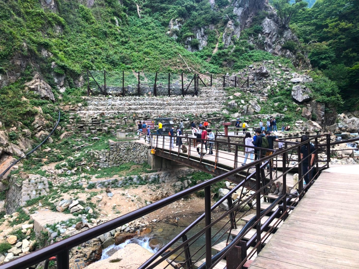 jigokudani-monkey-park-september