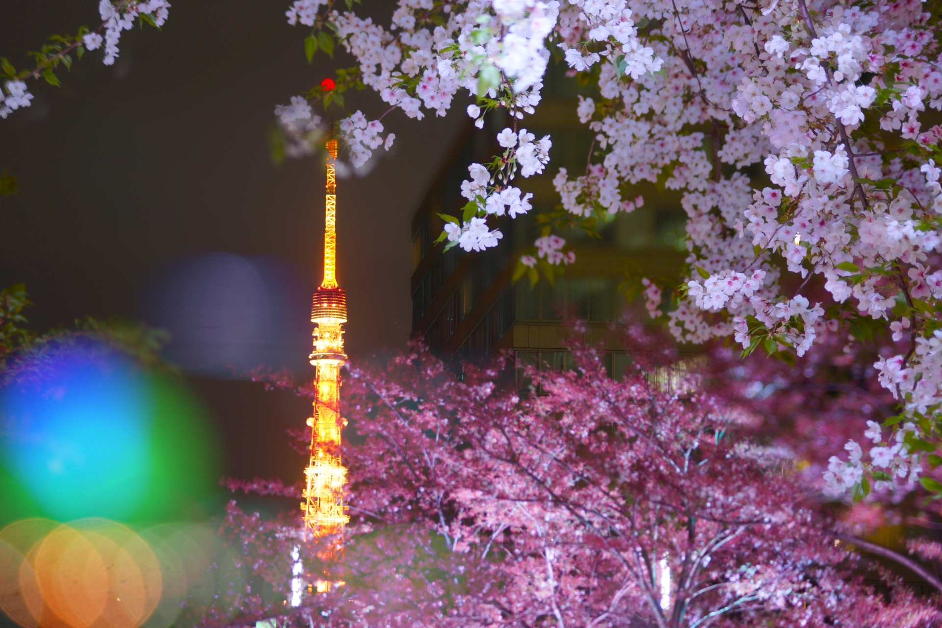 roppongi-tokyo