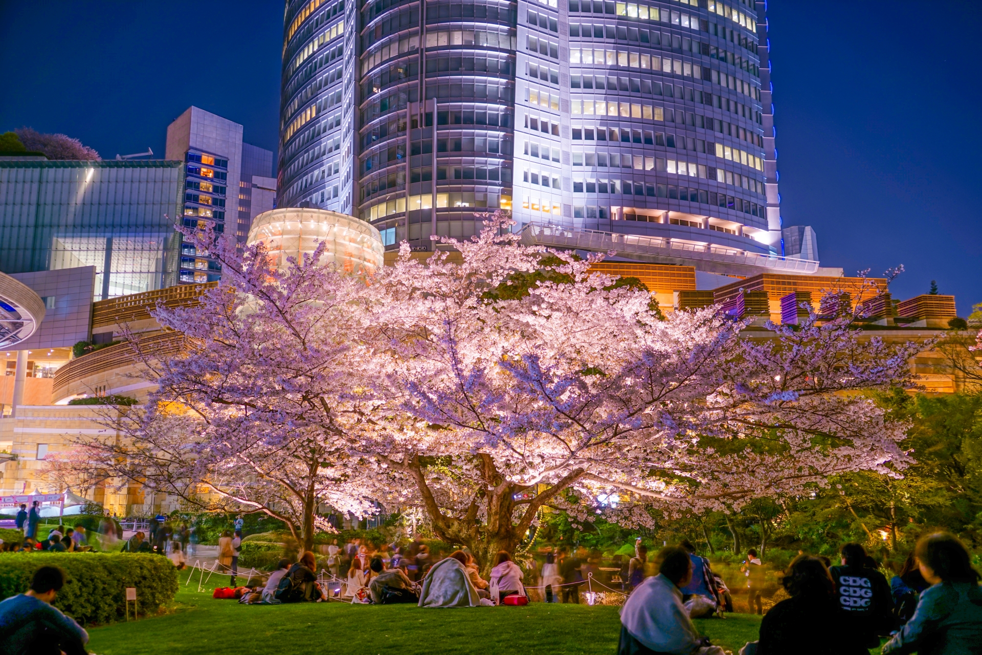 roppongi-tokyo