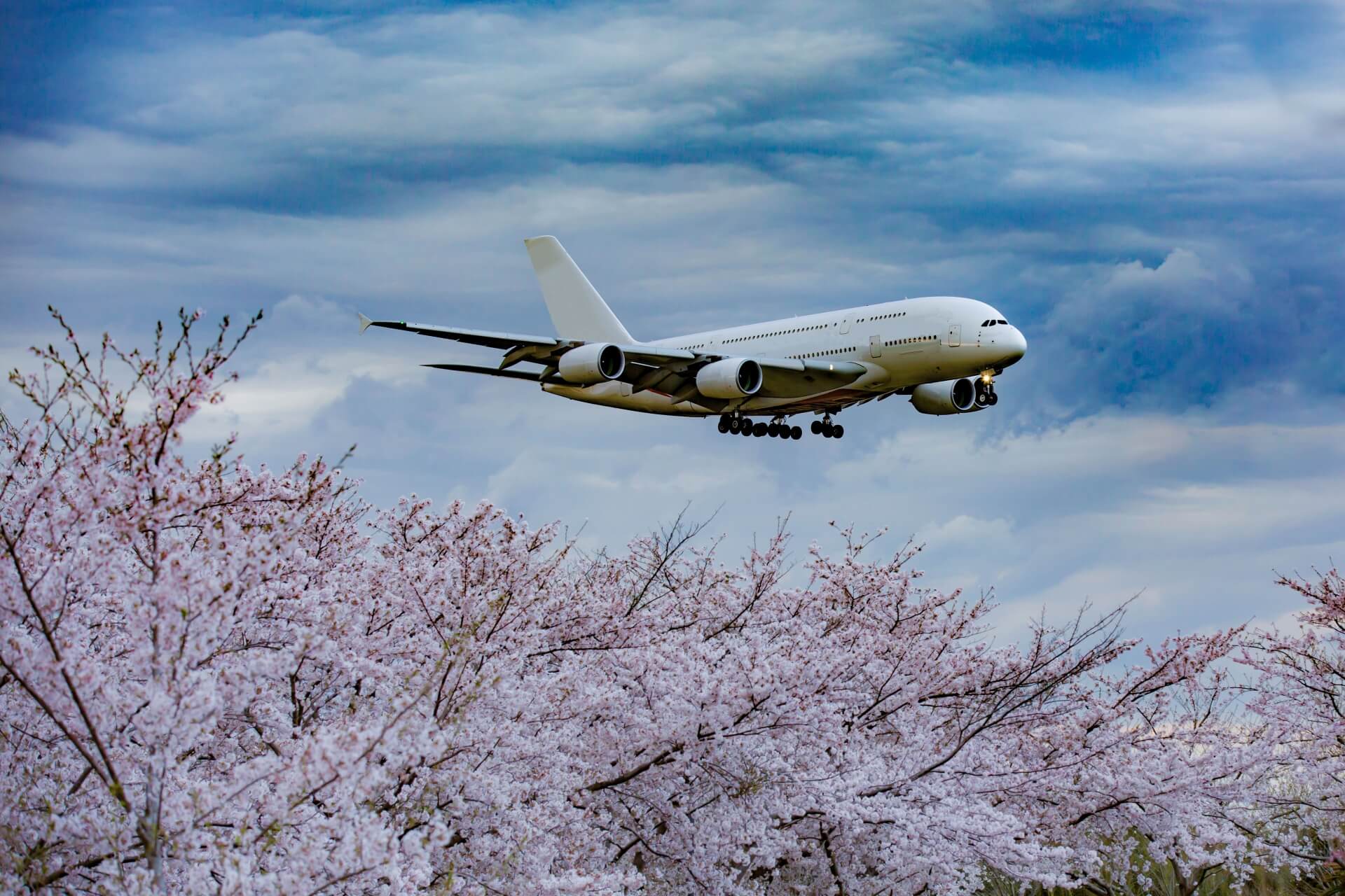 narita-airport