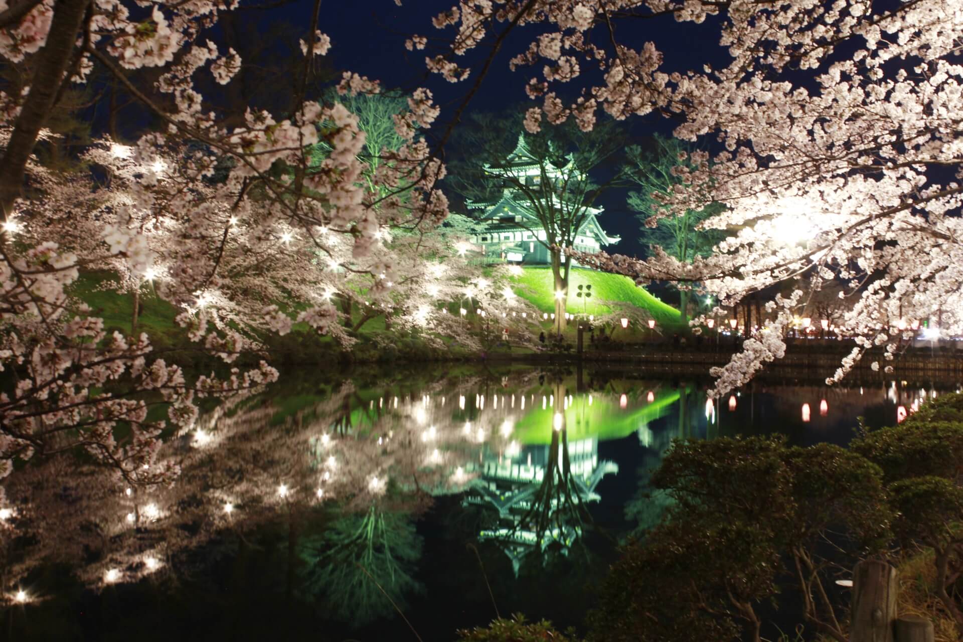 takada-castle-park-blossoms