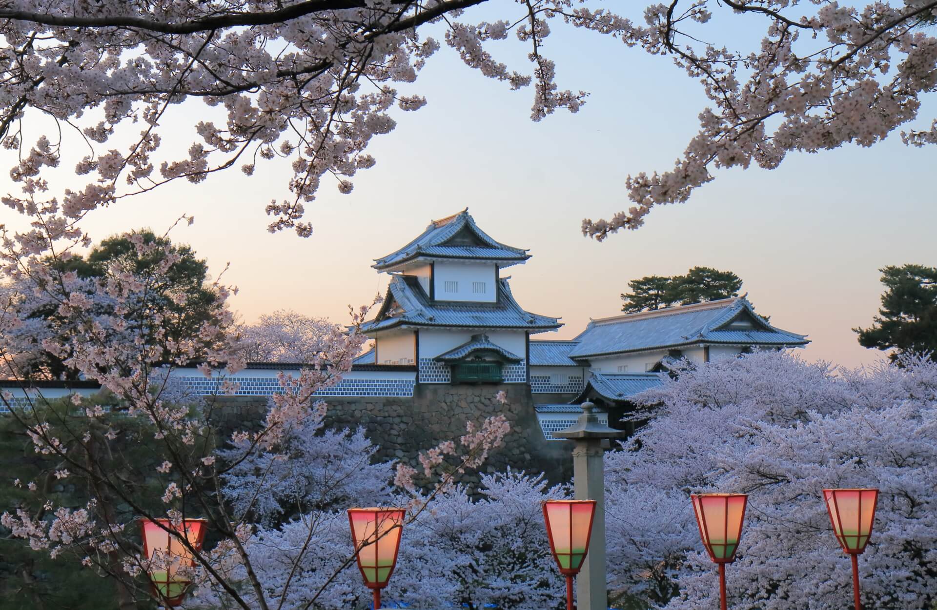 kanazawa-castle-blossoms