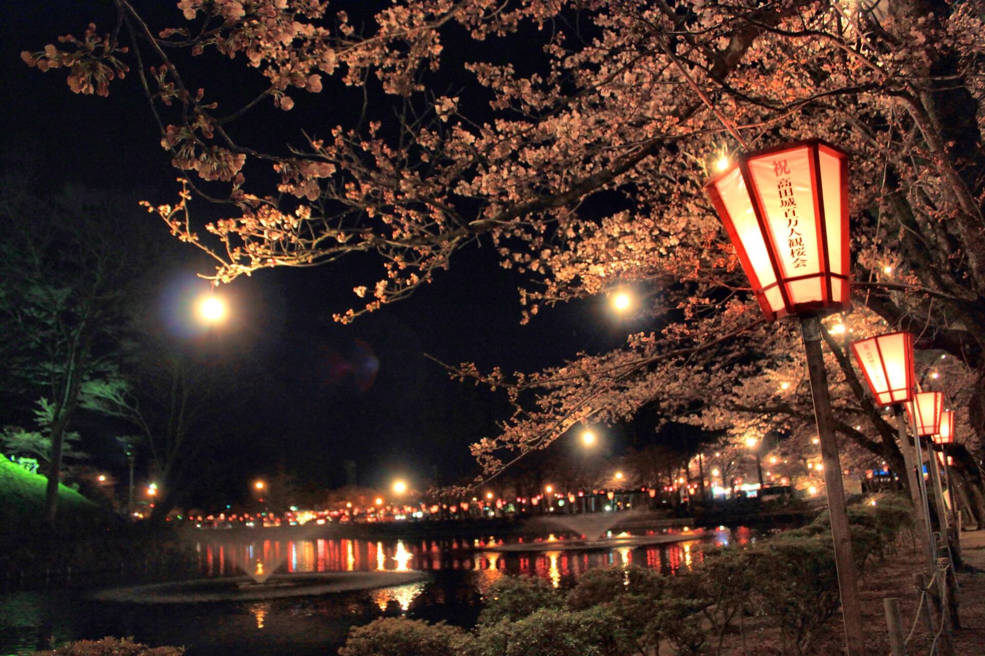 takada-castle-park-blossoms