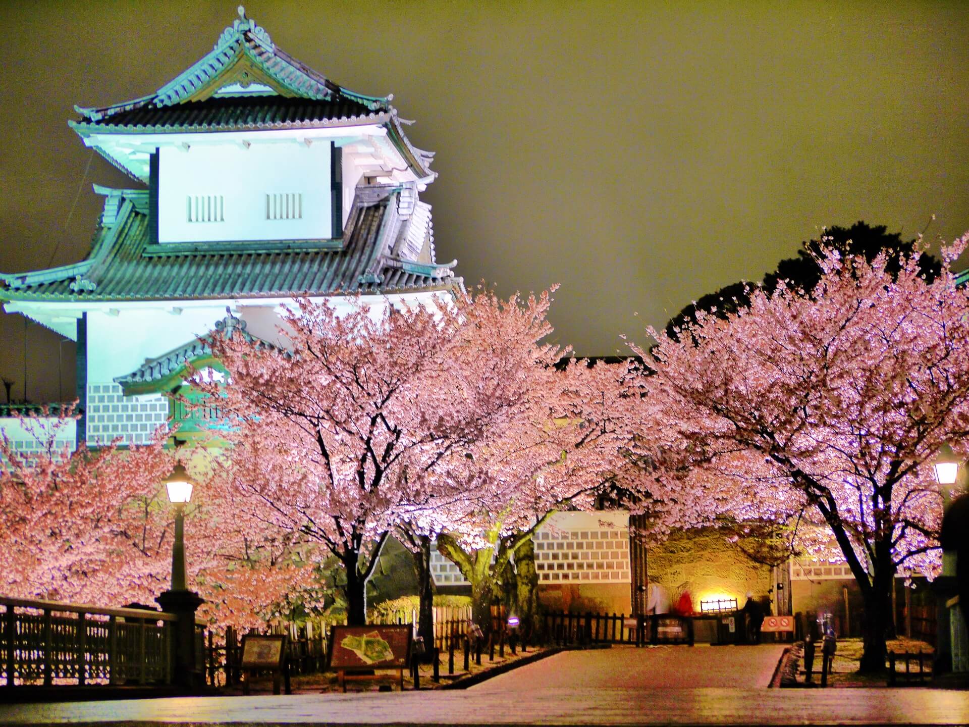 kanazawa-castle-blossoms