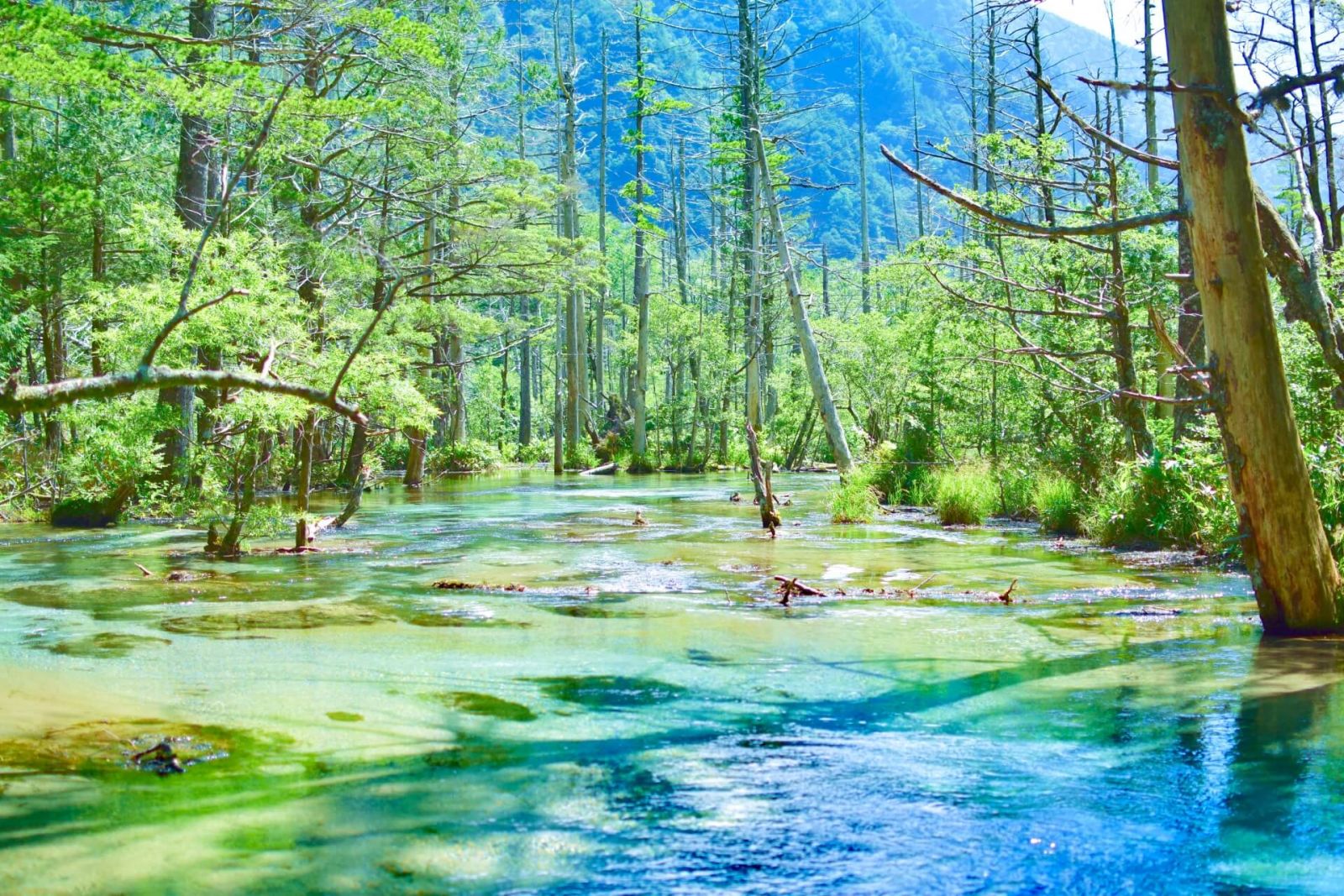 kamikochi