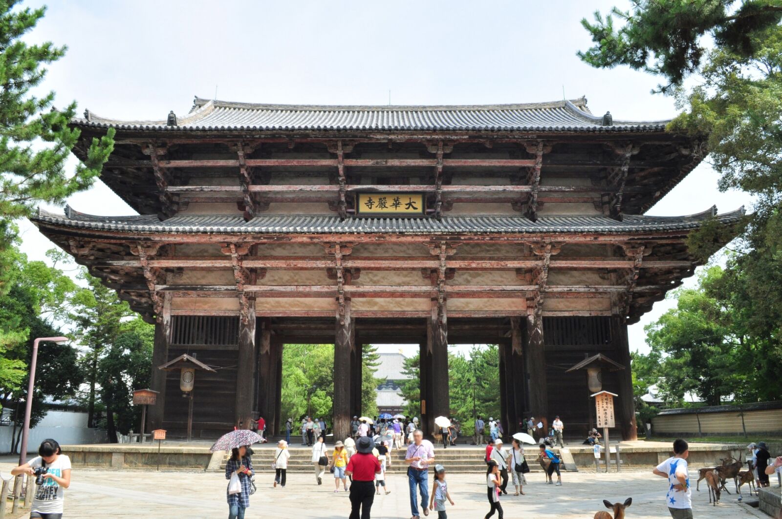 nara-todaiji