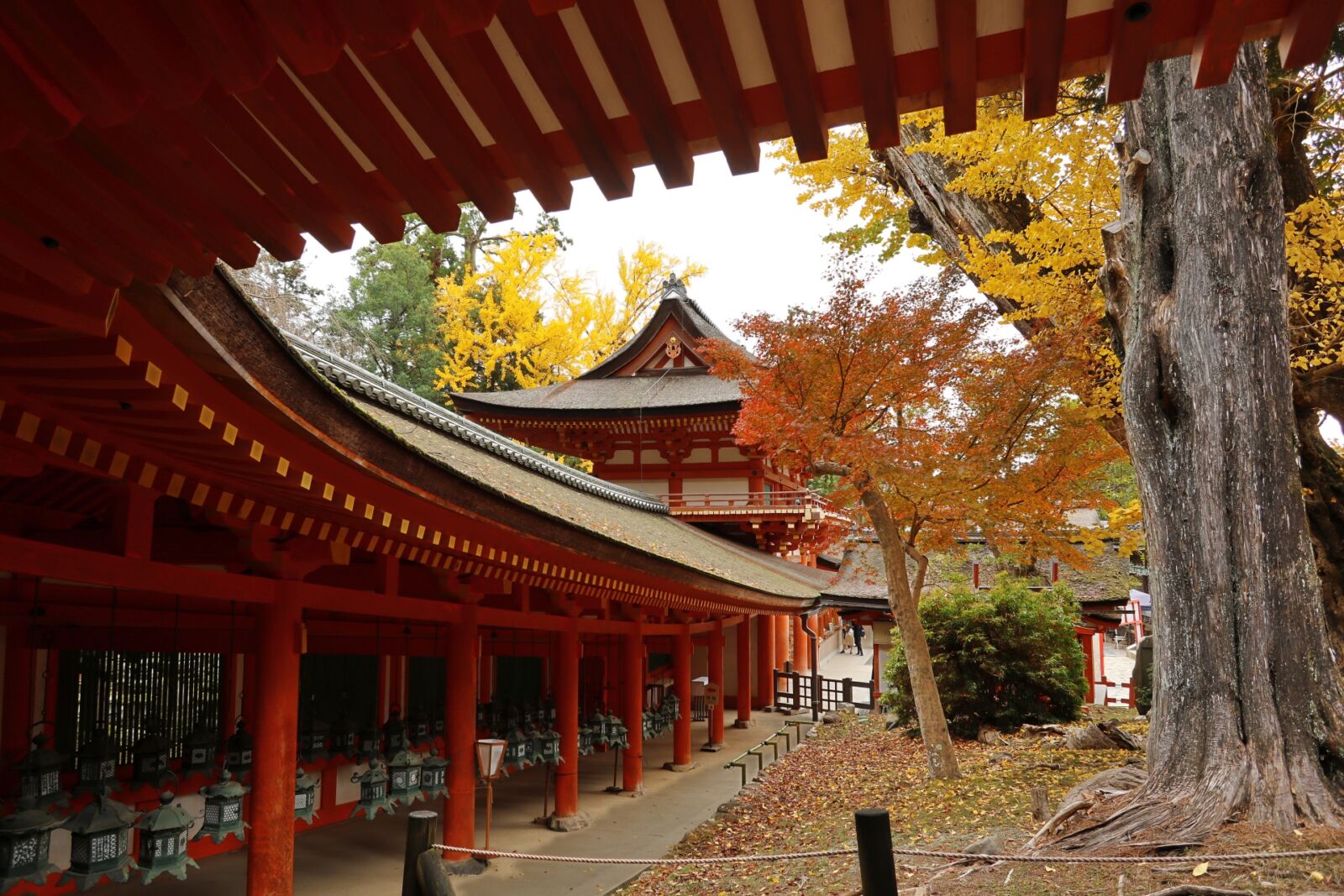 nara-kasuga-taisha