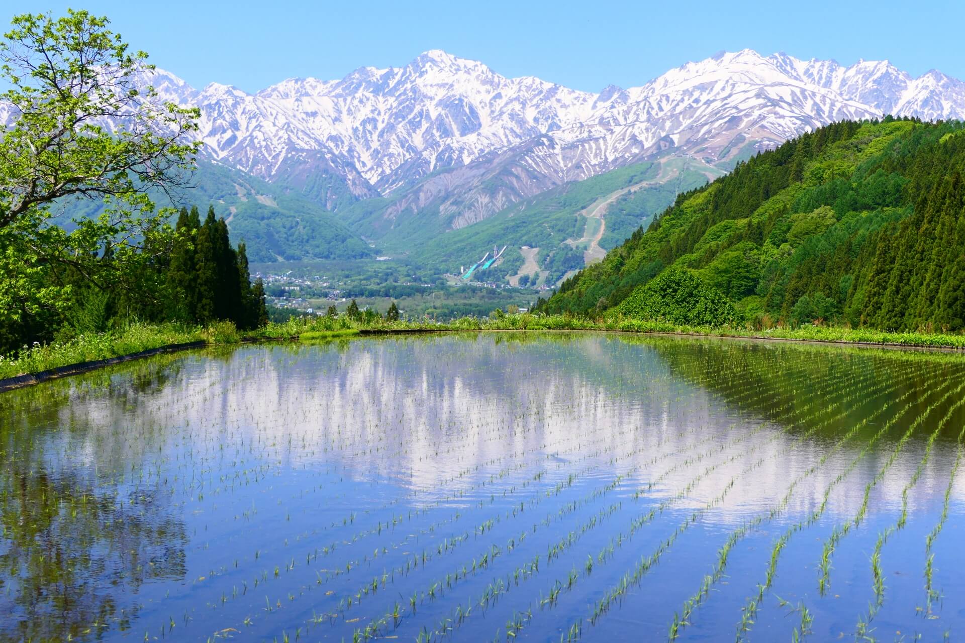 hakuba-green-season-landscape