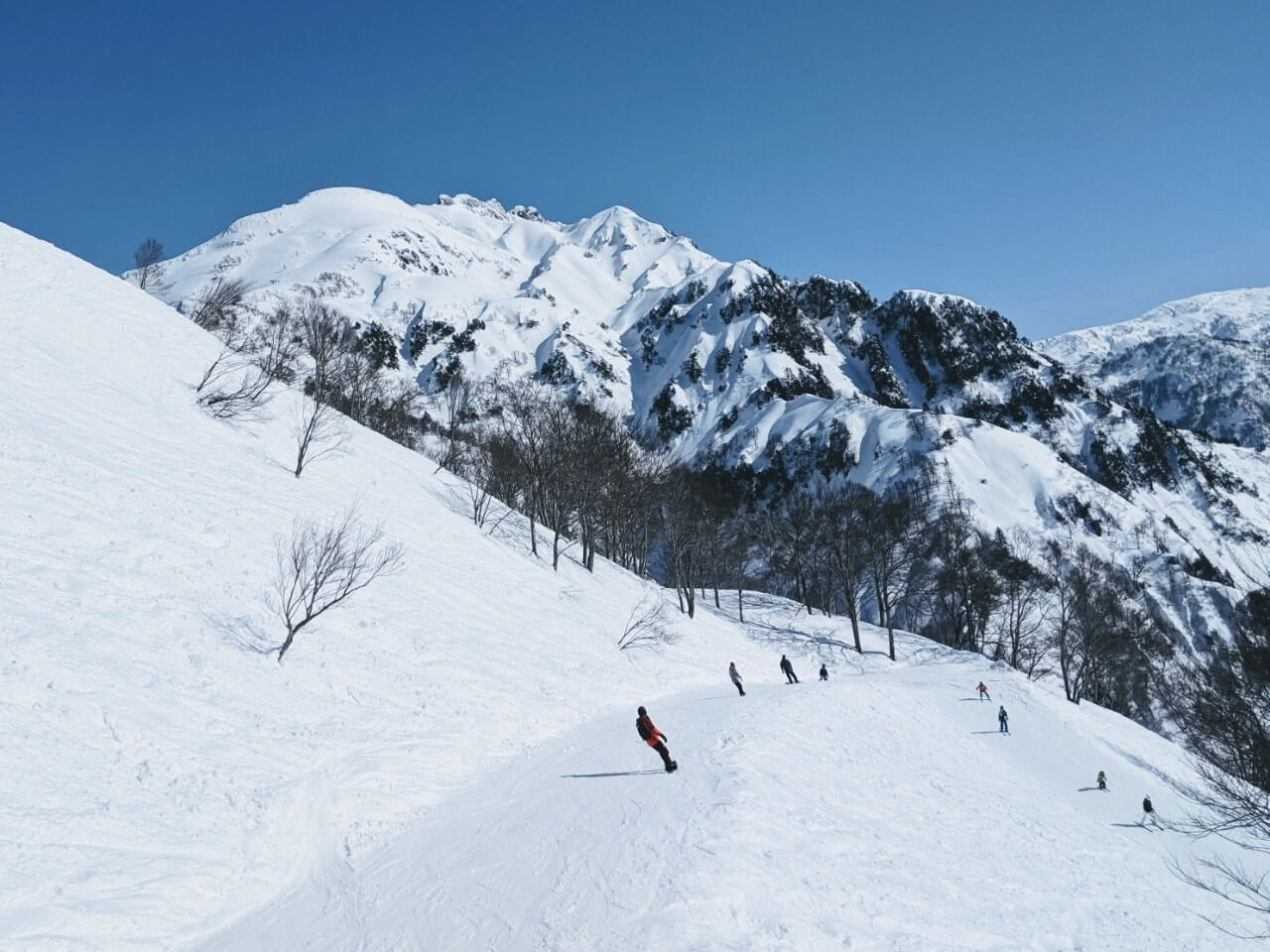 niigata-muikamachi-hakkaisan