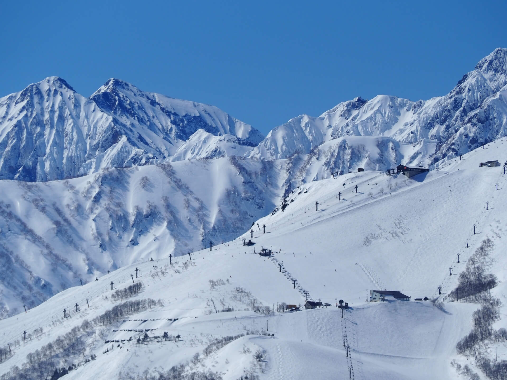 hakuba-happo-one