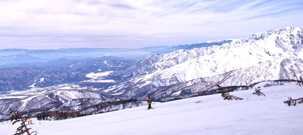 hakuba-tsugaike-banner-edit