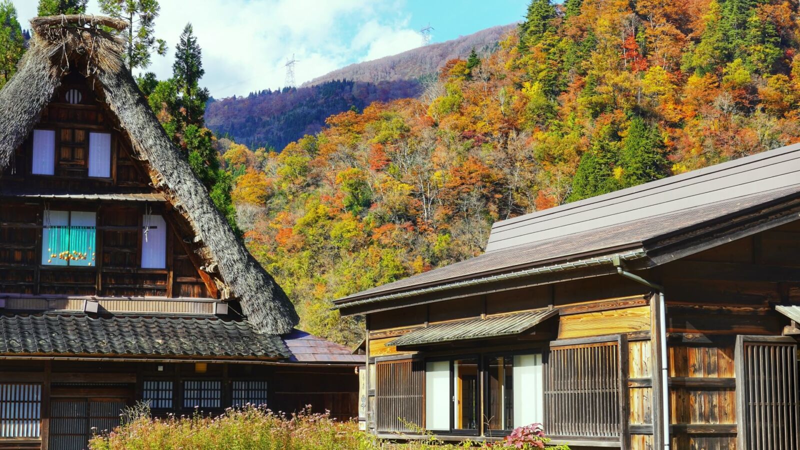 shirakawago-suganuma