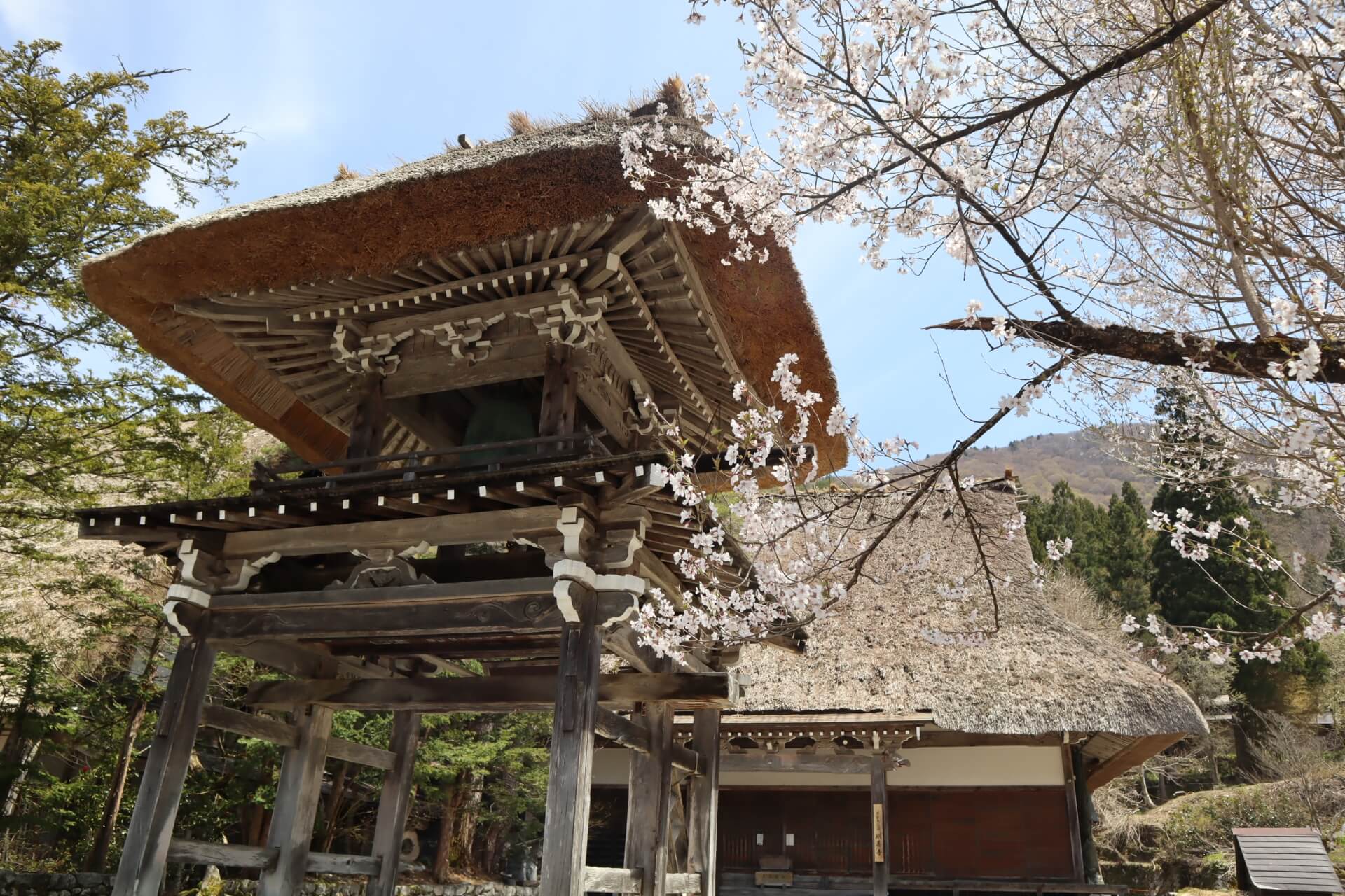 shirakawago-myozenji