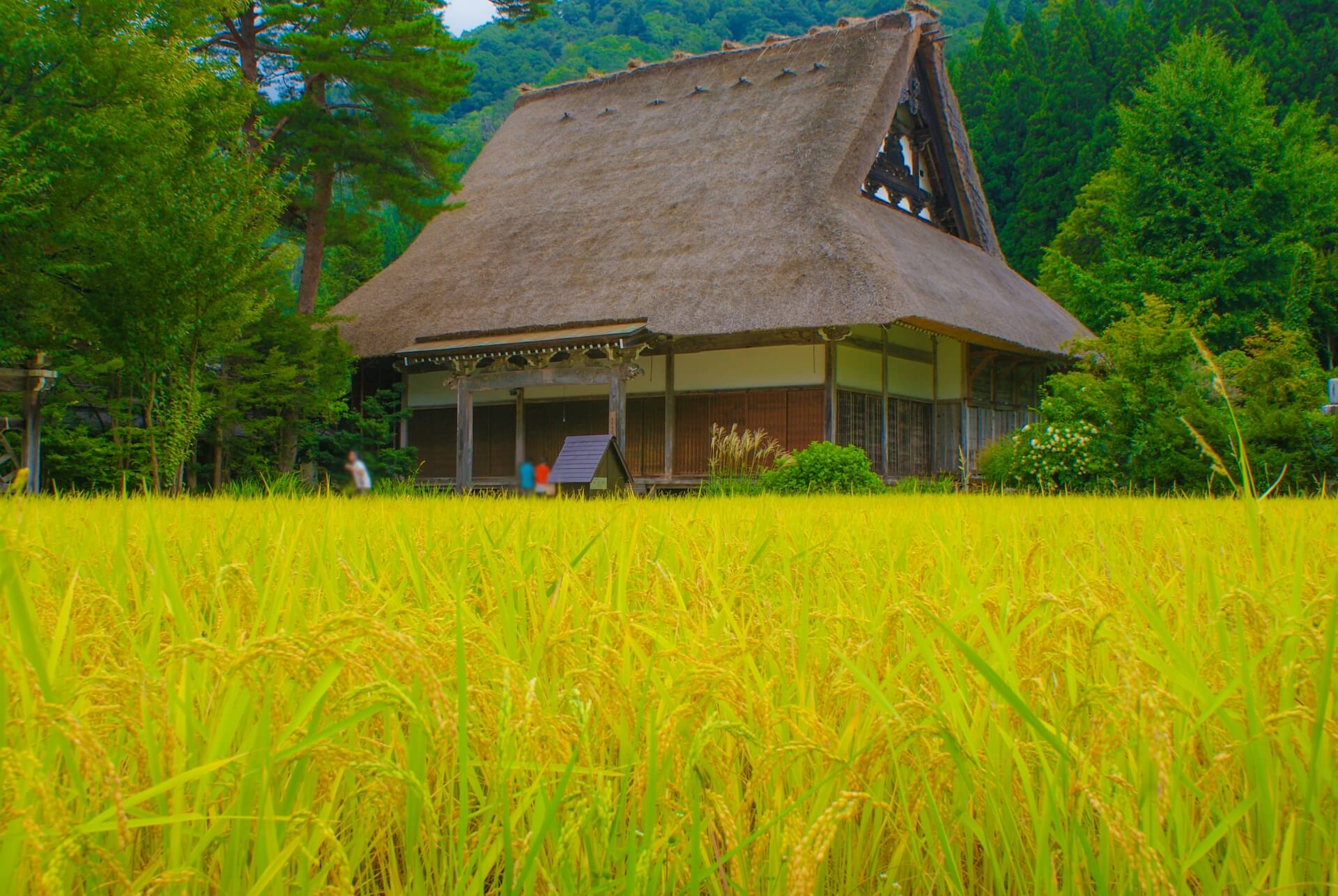 shirakawago