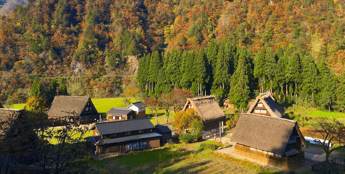 shirakawago-suganuma