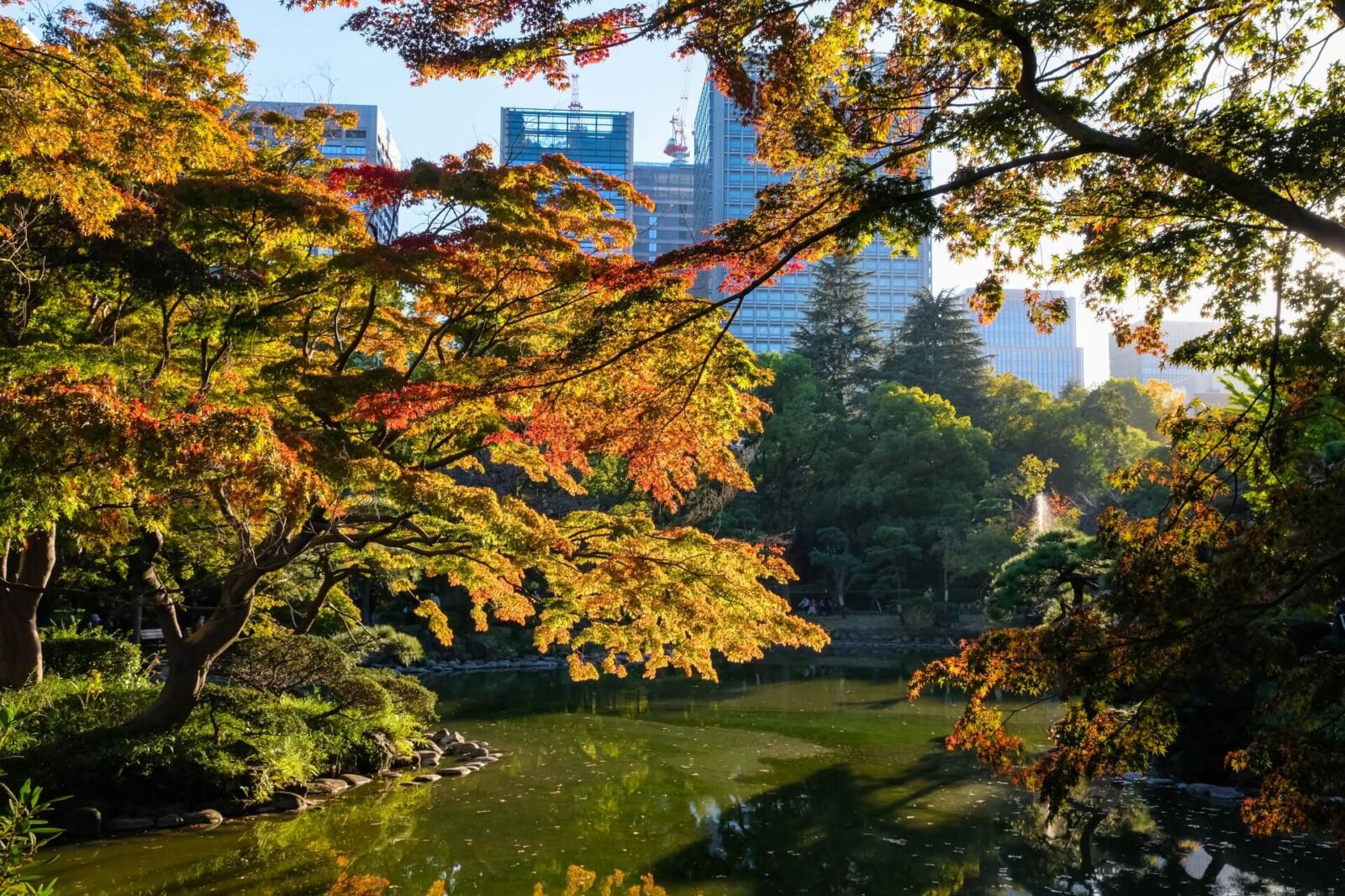 hibiya-park-tokyo